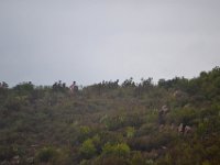 DSC 0776